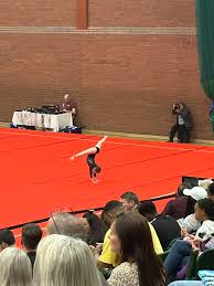 Image result for Wyre Forest School Of Gymnastics