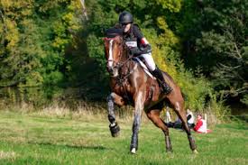 Image result for Fisher Equestrian