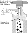 Homogenization of Milk Fat Globules