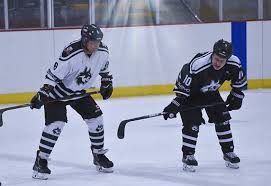 Image result for Streatham Night Wolves Ice Hockey Team