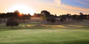 Image result for Pachesham Park Golf Centre