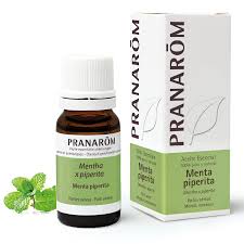 Image result for Menta x piperita