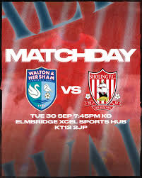 Image result for Walton & Hersham Football Club