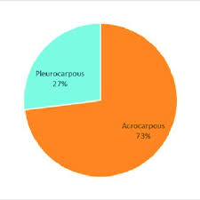 Attēlu rezultāti vaicājumam “Pleurocarpous mosses sporophyte”