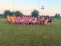 Image result for Royston Rufc