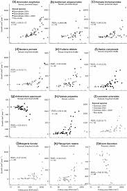 Attēlu rezultāti vaicājumam “Isothecium alopecuroides sporophyte”