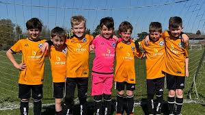 Image result for Afc Ewell