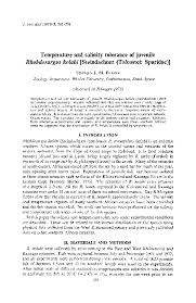 Image result for Rhabdosargus holubi