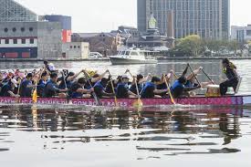 Image result for Amathus Dragon Boat Club