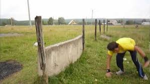 Image result for Parkour Alliance