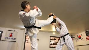 Image result for North Wilts Taekwondo