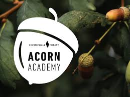 Image result for Acorn Archers