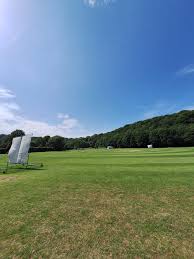 Image result for Buscot Park Cricket Club