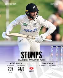 Image result for Appleton Cricket Club