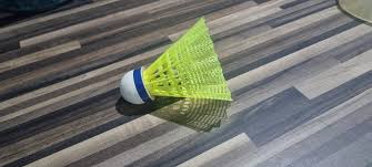 Image result for Herts & Essex Badminton Club