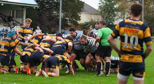 Image result for Aberdare Rugby Union Football Club