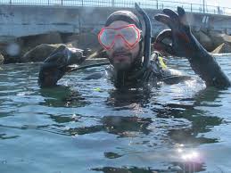 Image result for Breakwater Divers