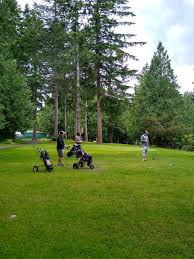 Image result for Delphi Bowls Club