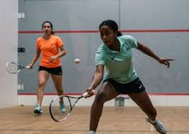 Image result for Onyx Badminton Club