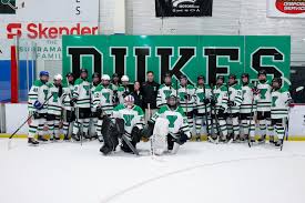 Image result for York University Street Hockey Club