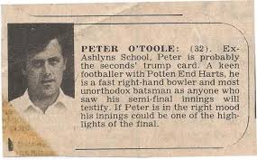 Image result for Potten End Cricket Club