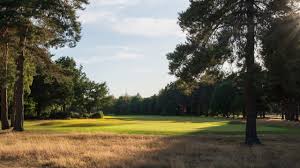 Image result for Newark Golf Club Co Ltd