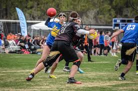 Image result for Wessex Warlocks Quadball