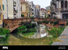 Image result for San Gregorio Barbarigo