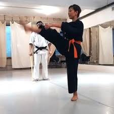 Image result for Twyford Higashi Karate Club
