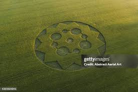 Image result for crop circle