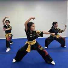 Image result for Manchester University Ninjutsu Society