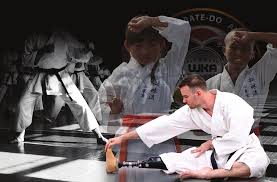 Image result for Sandokai Karate