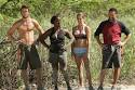 Image <b>survivor</b>. <b>survivor</b> Picture