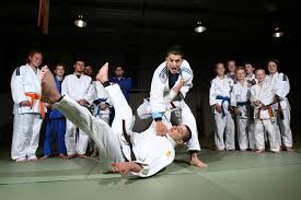 Image result for Grange Judo Club