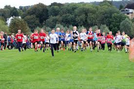 Image result for Bingley Harriers & Athletics Club