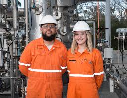 Image result for Netts