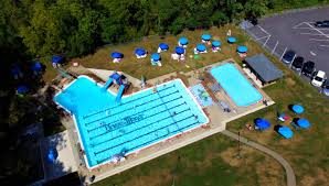 Image result for Downham & District Swimming Club