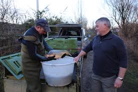 Image result for Runnymede Angling Association