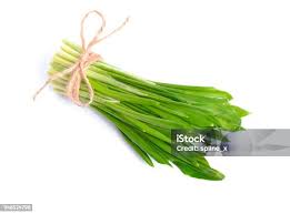 Attēlu rezultāti vaicājumam “Allium ursinum fruit”