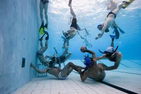 Image result for Rugby Swimming Club