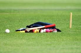 Image result for Stowmarket Cricket Club