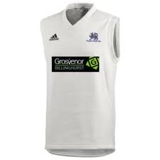 Image result for Claygate Cricket Club