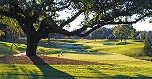 Image result for Preston badminton club