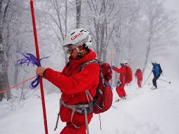 「湯沢洋行」の画像検索結果