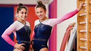 Image result for Gym Stars