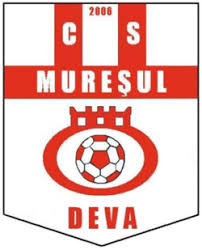 Image result for Deva Handball Club