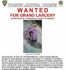 Wheelchair thief hunted by NYC police after swiping women's purses ...
