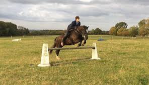 Image result for Beechwood Riding School
