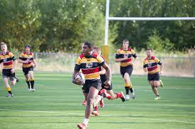 Image result for Hoyland Vikings Amateur Rugby League Football Club