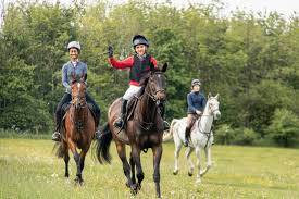 Image result for Cambridge University Riding Club